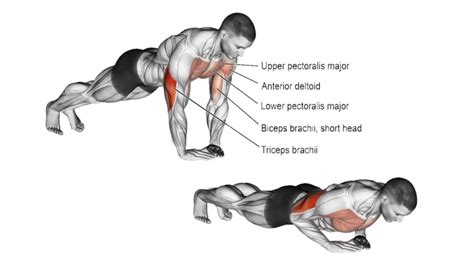 diamond push up muscles